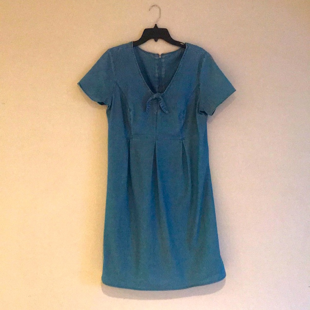 Adorable plus size blue denim dress